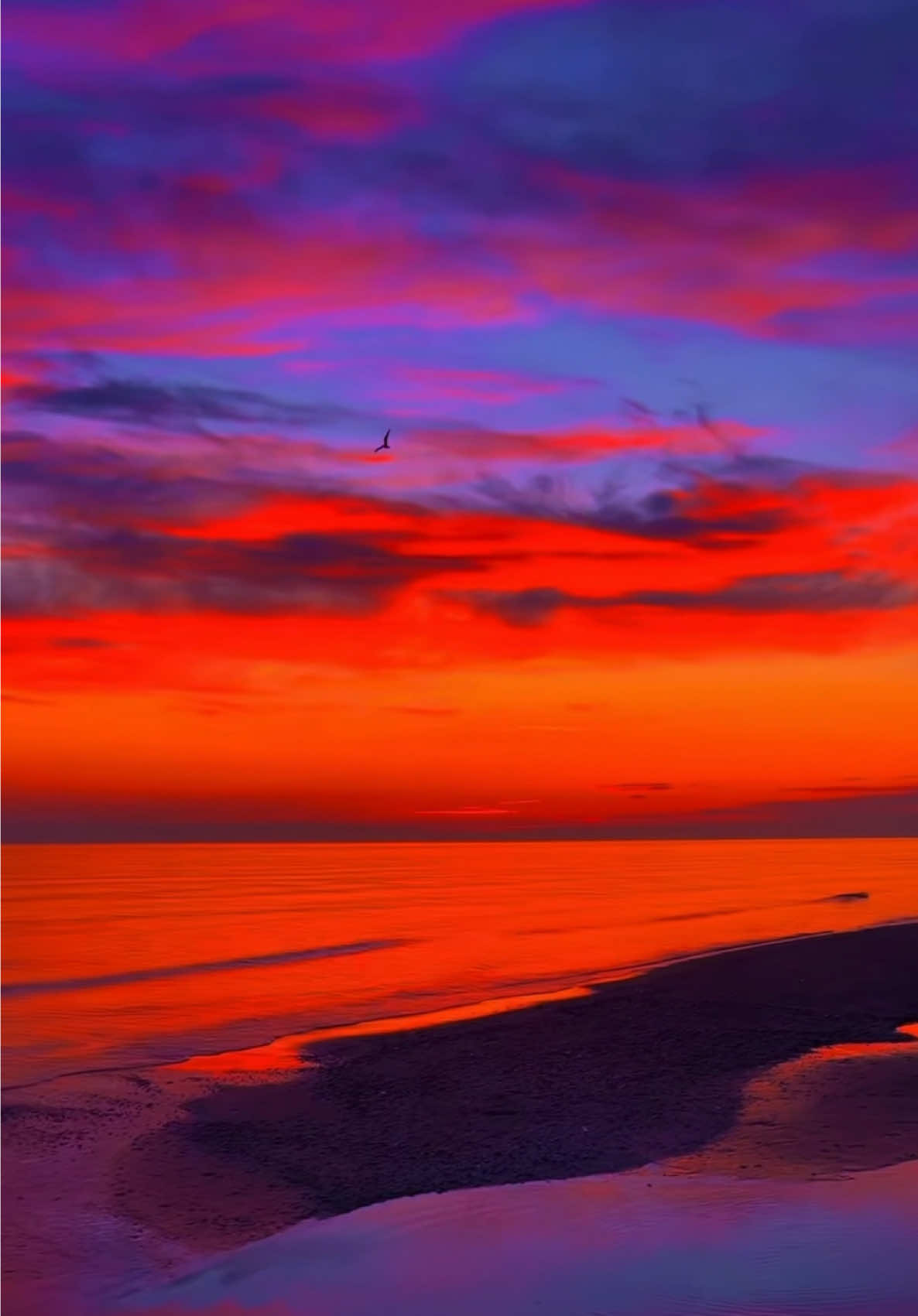 @🌅 Sunset 🌅