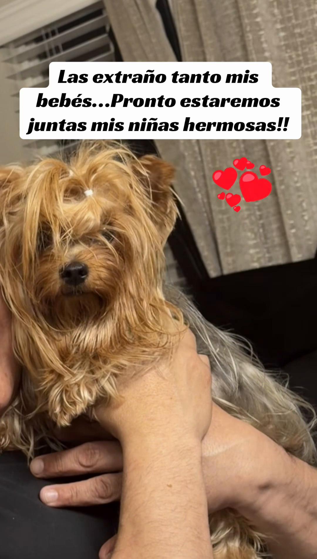 @Daniela F. Martinez