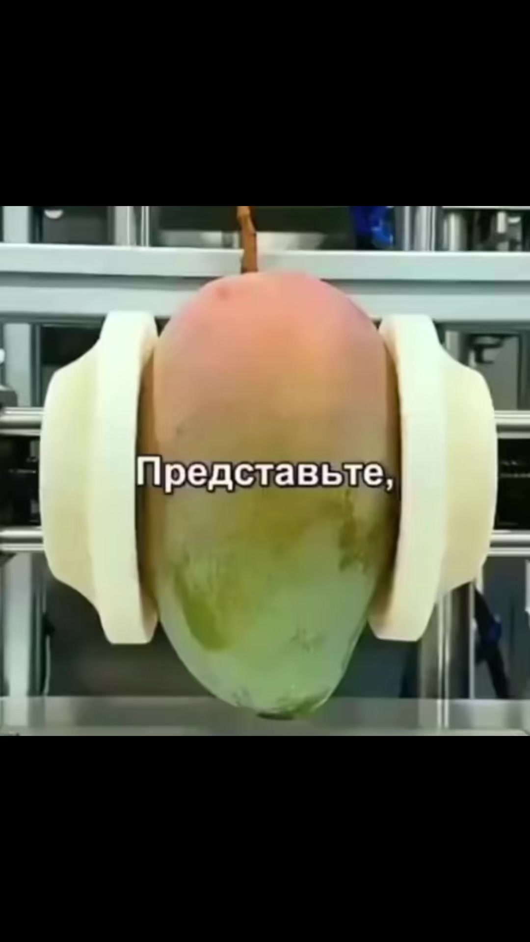 @shuee