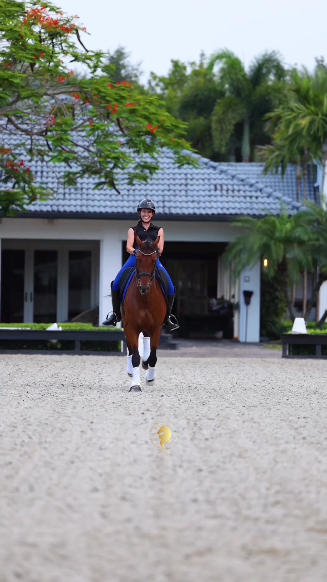 @Sync Equestrian