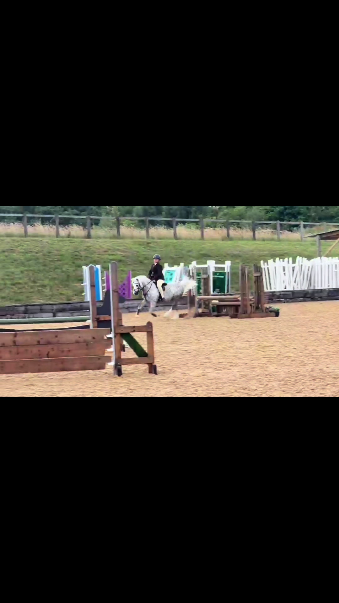 @AAPS_ponys
