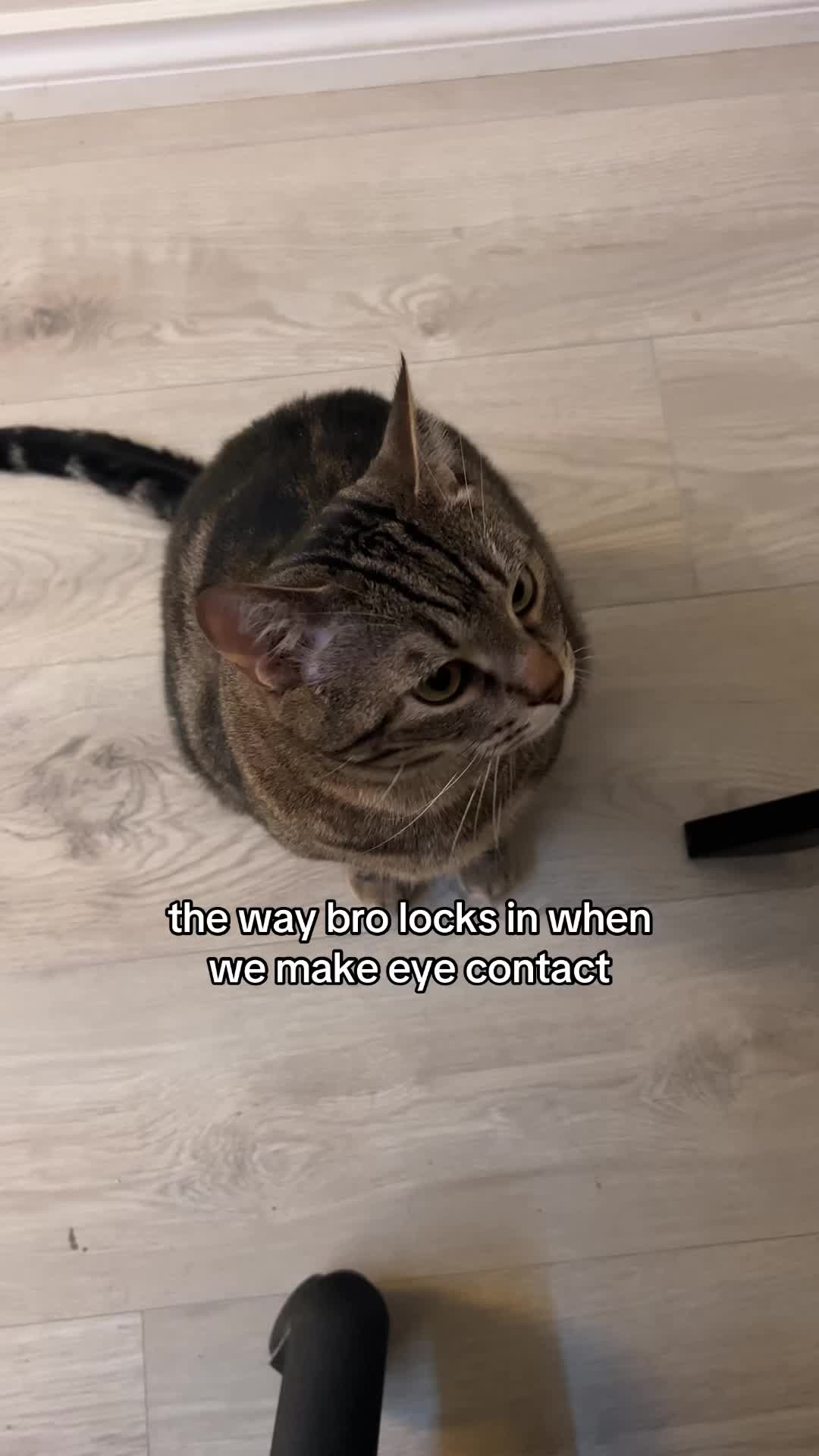 @Blawg