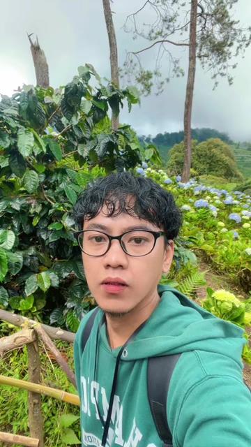 @albeehabibie