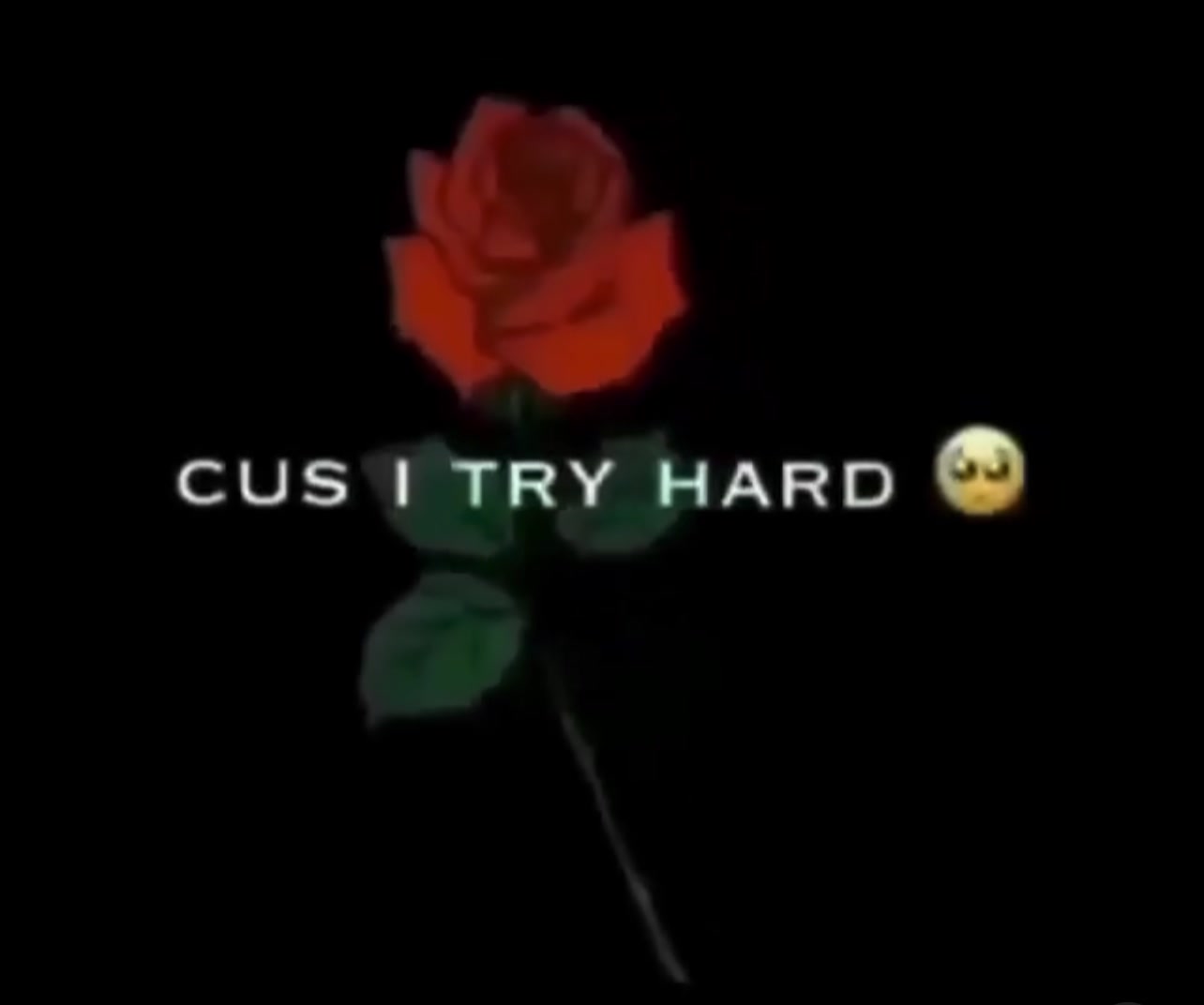 @๐๐๐๐๐๐๐๐๐๐_.