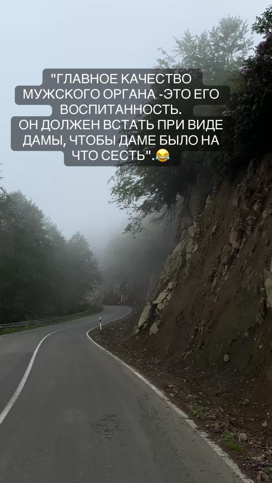 @👑АрИсТоКрАтКа👑