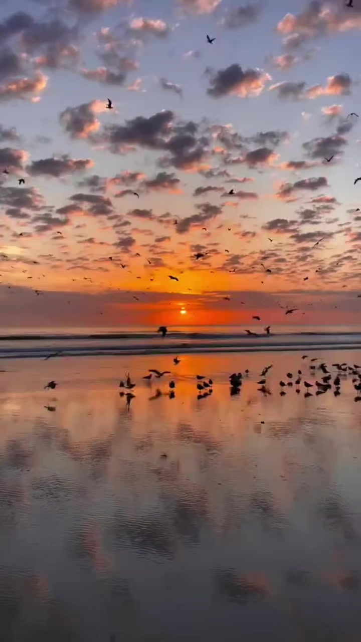 @واثقه بالله