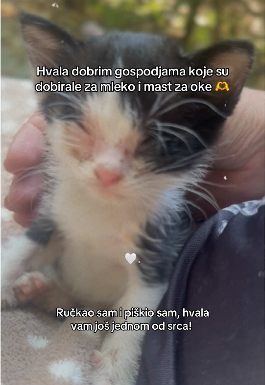 @cosanostrapurr
