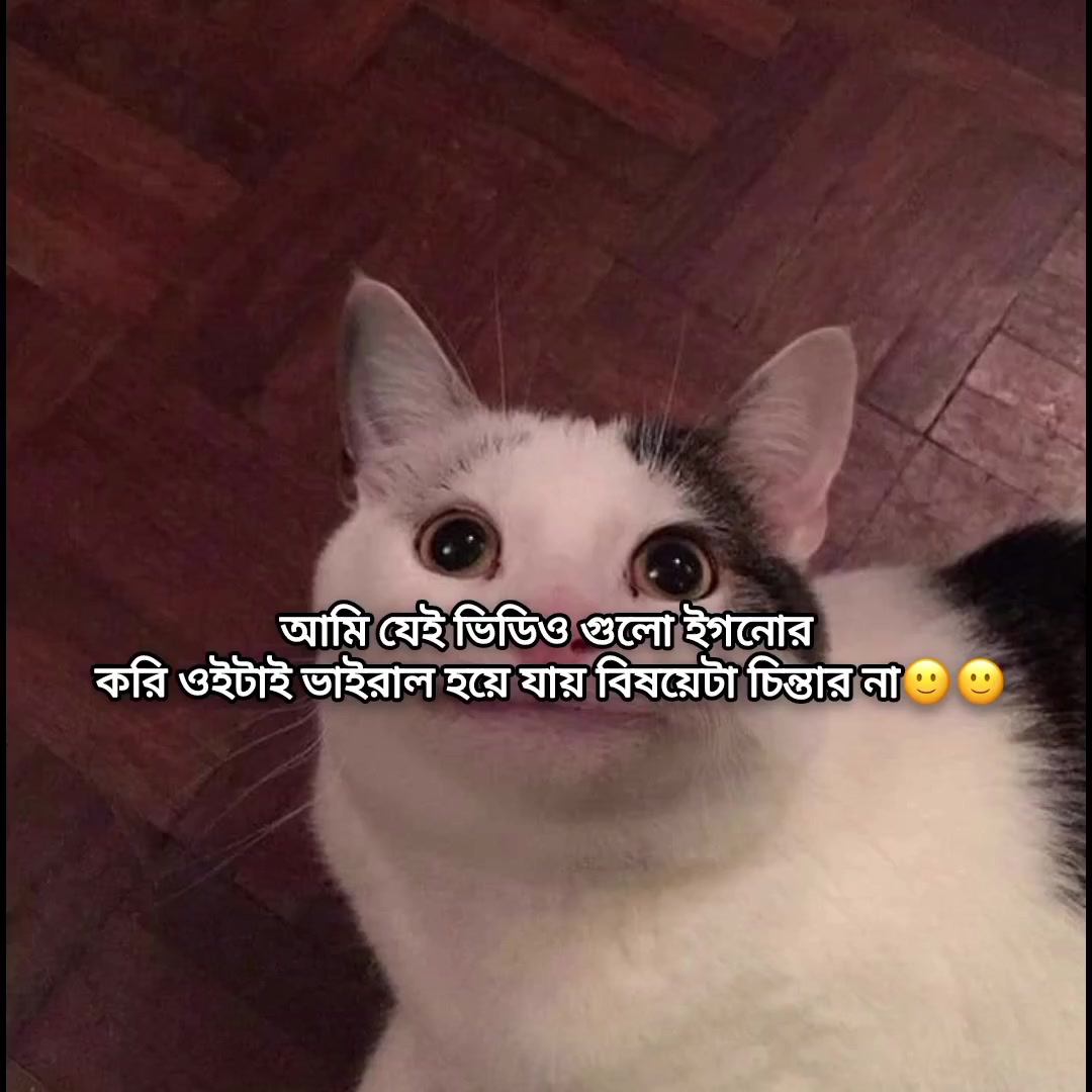 @💜𝑇𓂅⋆﹅ഒ﹅๑💜