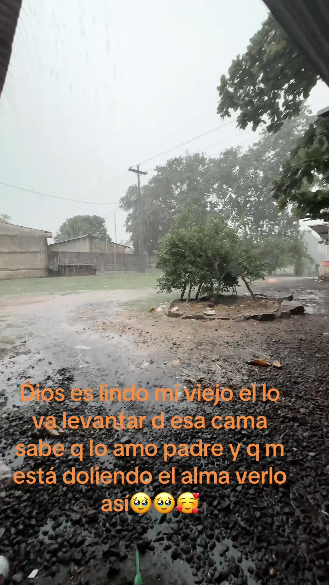 @🦋Chaparrita🦋