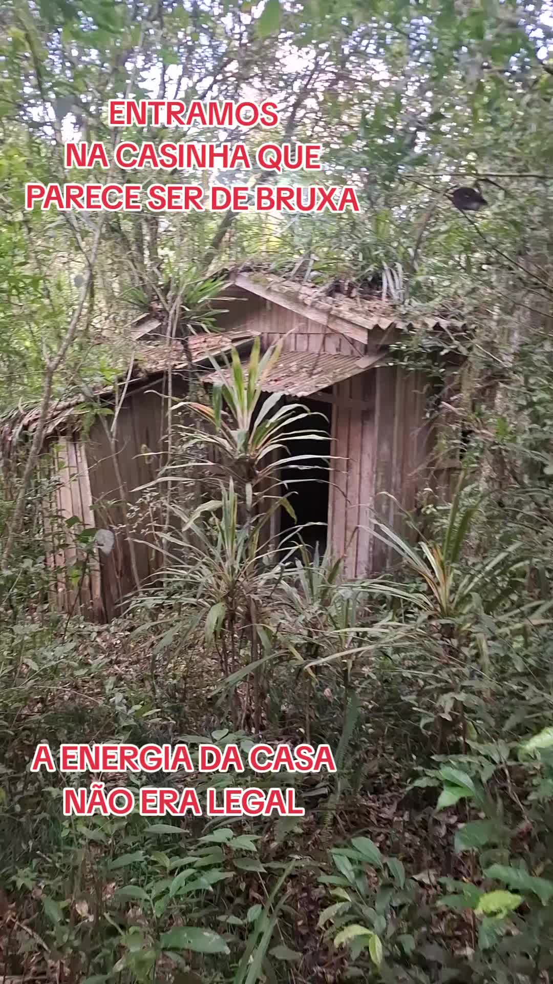 @Frequencia Sobrenatural