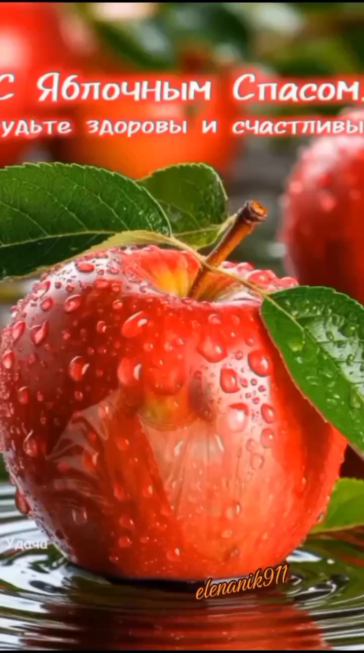@꧁༺ 𝓔𝓵𝓮𝓷𝓪 ༻꧂