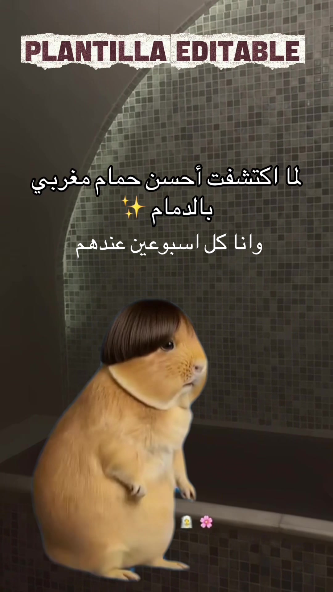 @إيڤاعلي ✨Eva.makeupartist_