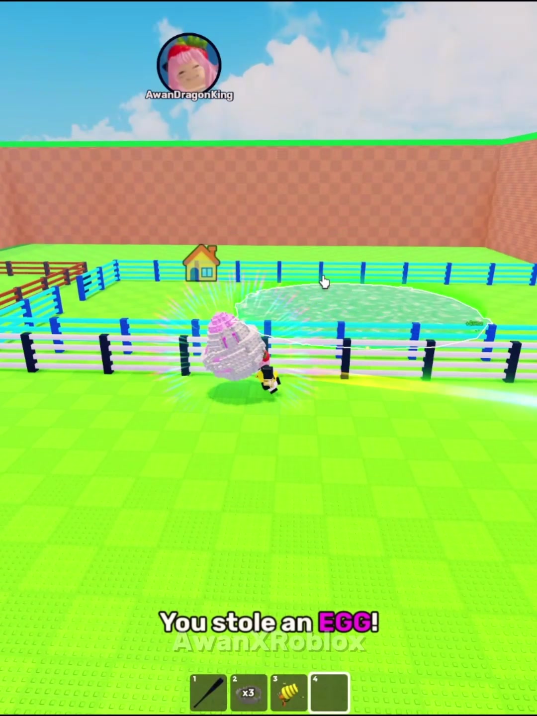 @AwanXRoblox