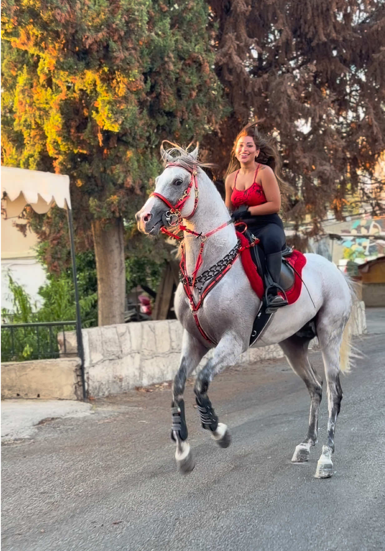 @لــيــن🐎