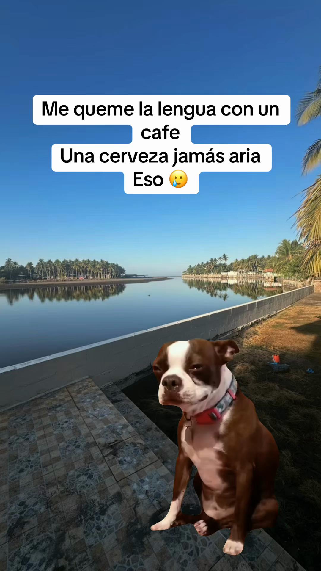 @0 seriedad