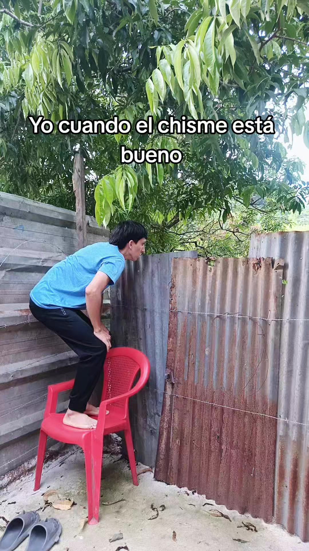 @Tonny Torres