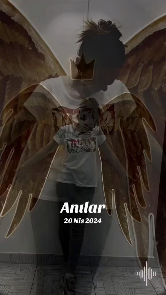 @amin.qezenfer