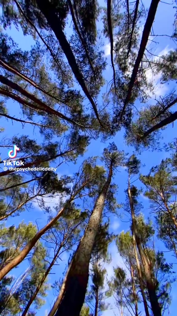 @Trippy Visuals 🌤️