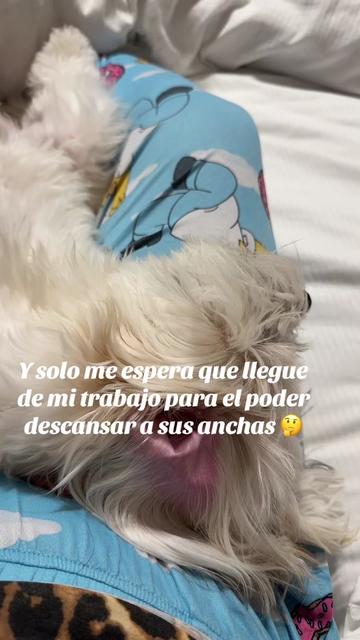 @🦋Maryland🦋