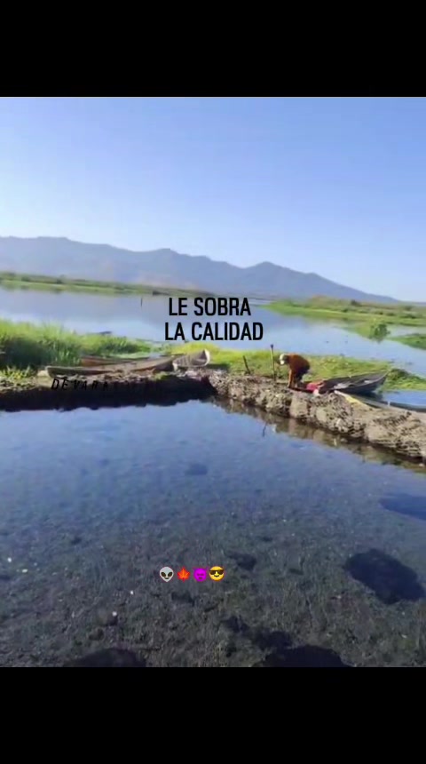 @Mario Salmerón