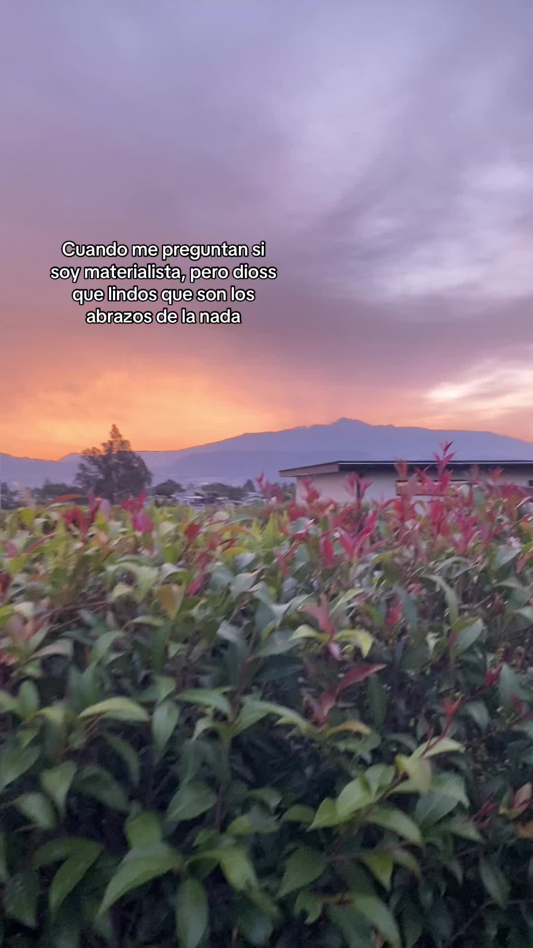 @User83619193619