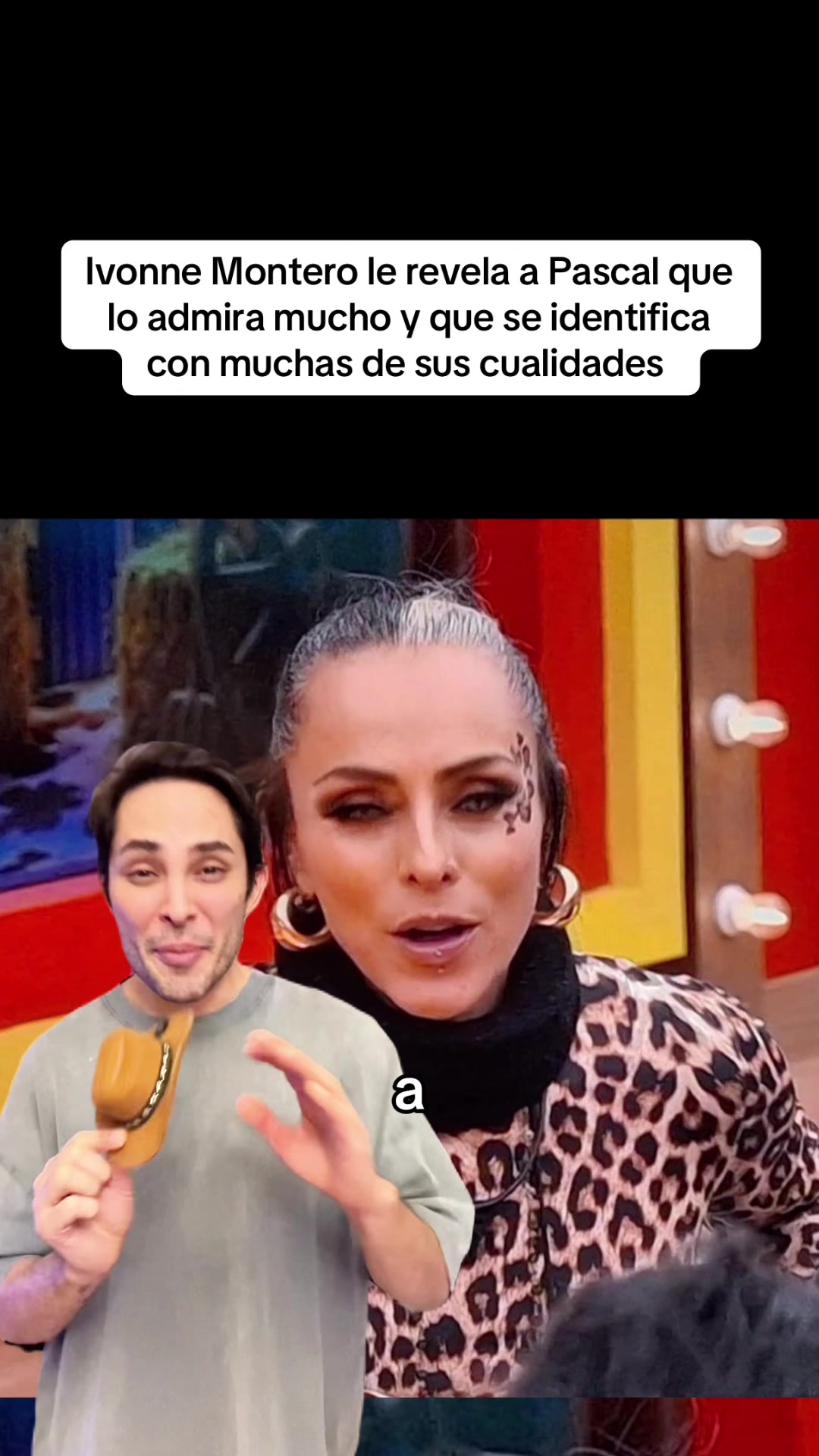 @MAKITO MAKITO🐱