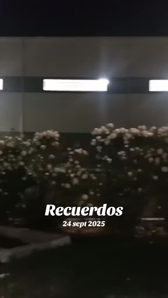 @🧝♀️🐧🌽👨🏻🍳💎CHINITA👣💫