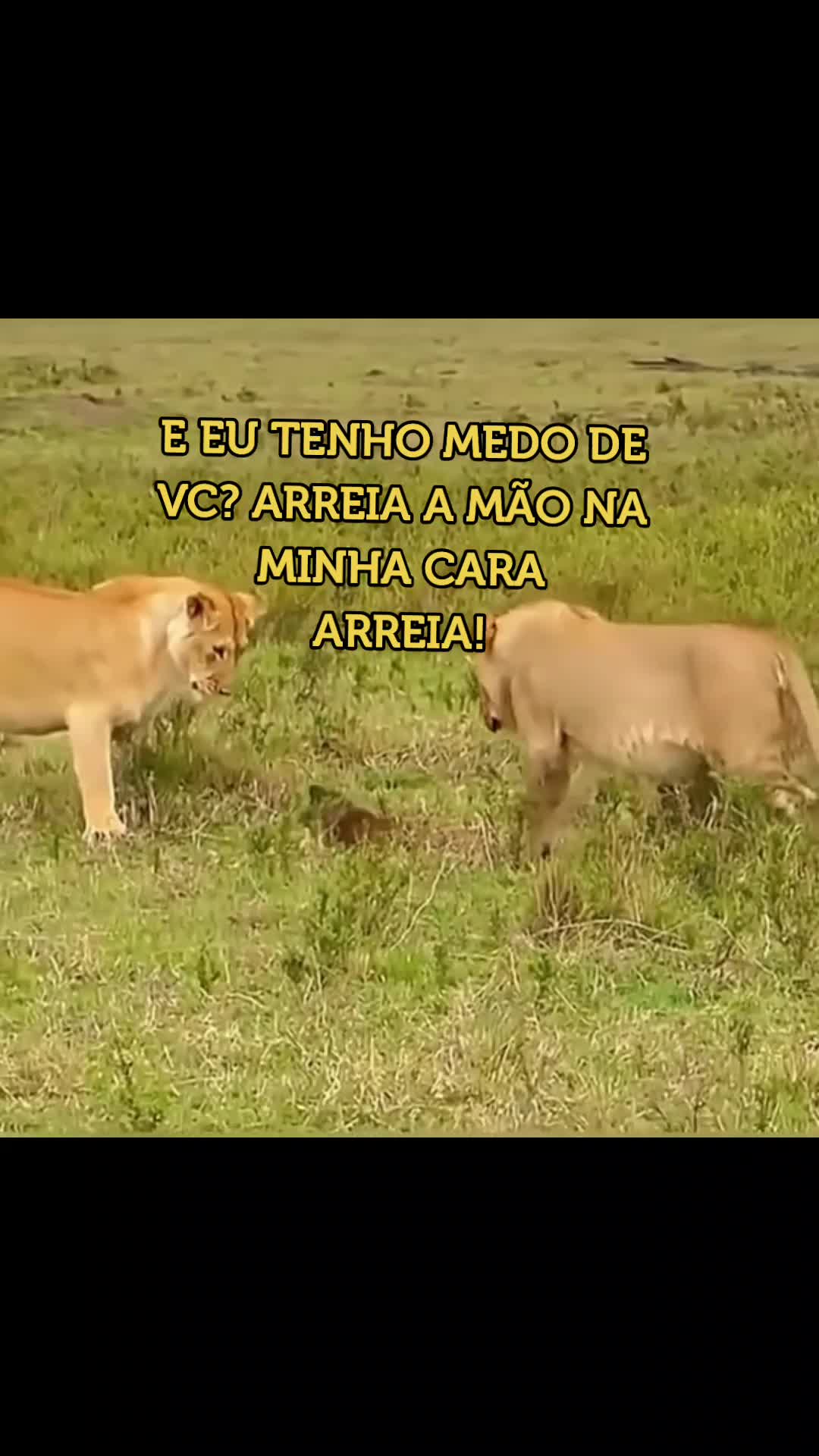@a&ccedil;ucena_barth