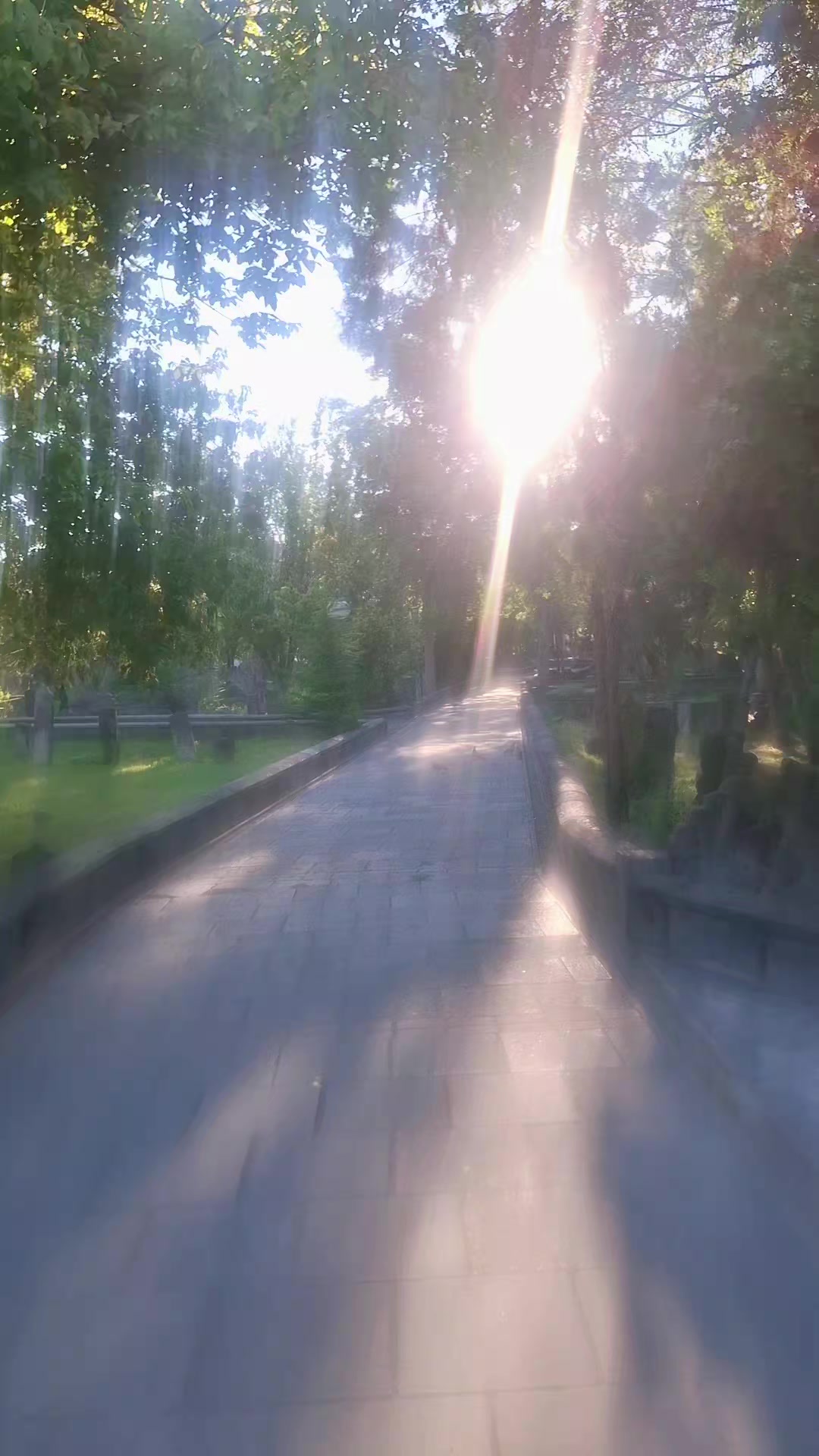 @gulvehsrn