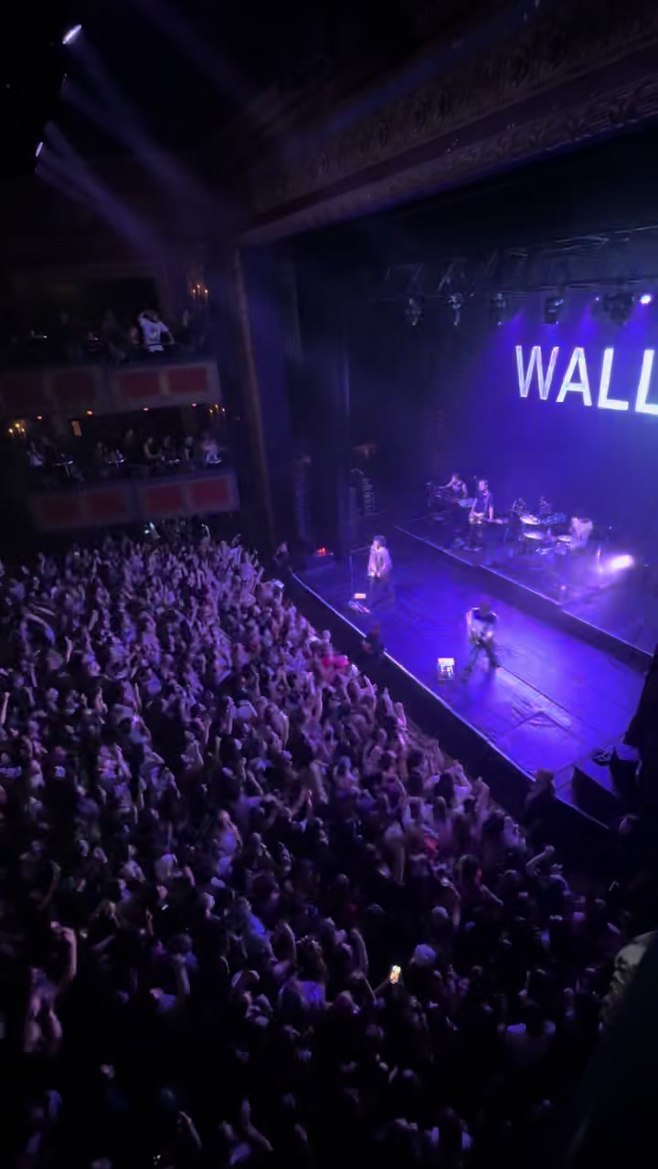 @wallowsmusic