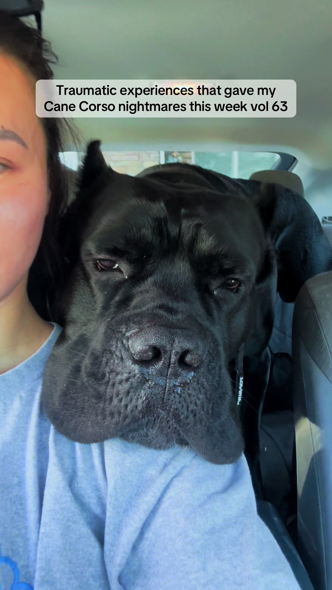 @Bentley Has Issues