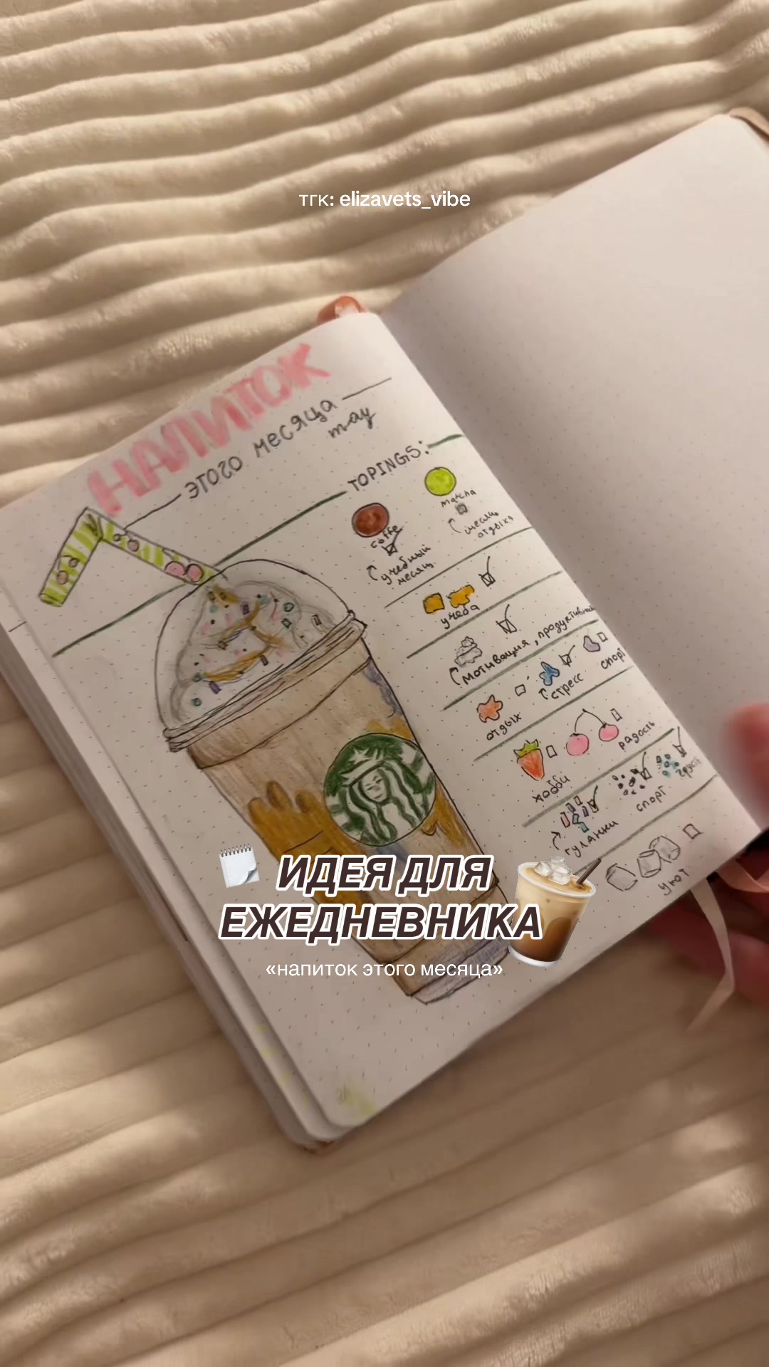 @𝒆𝒍𝒊𝒛𝒂𝒗𝒆𝒕𝒔 ୨ৎ
