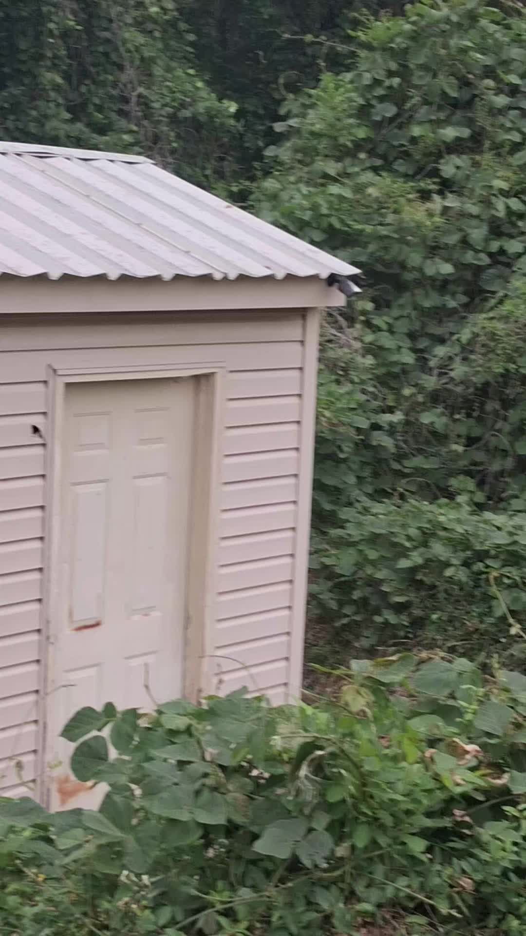 @kovakittymusicbaebee