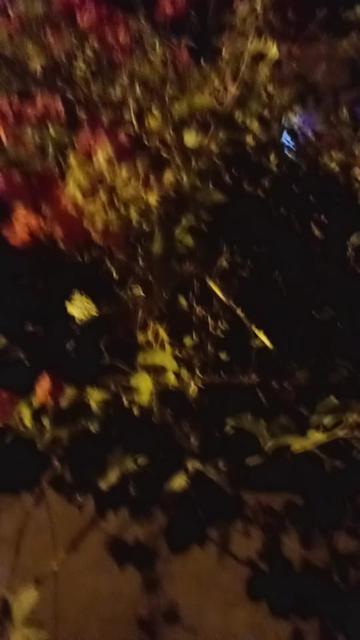 @RAJA