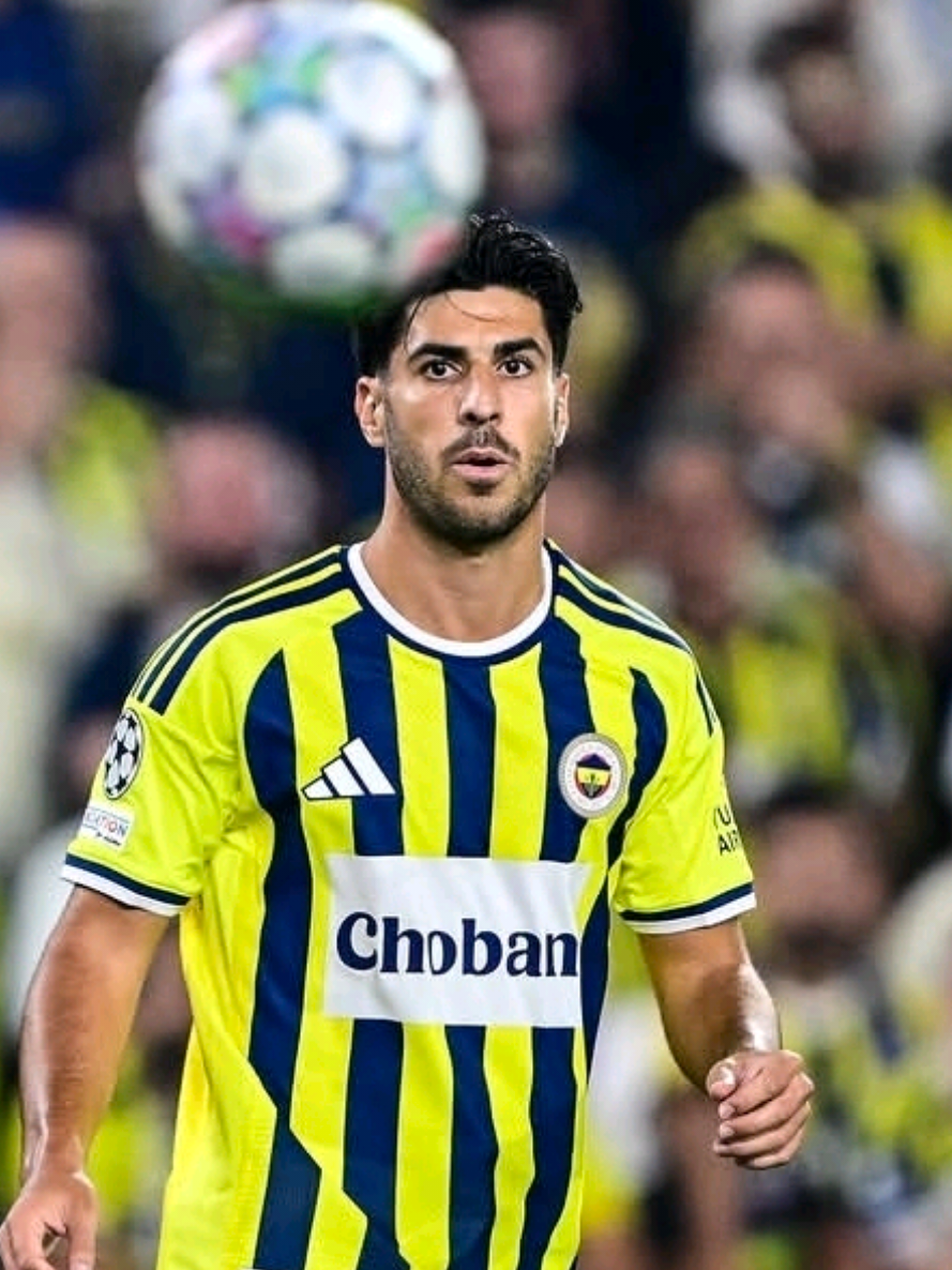 @fenerrvision