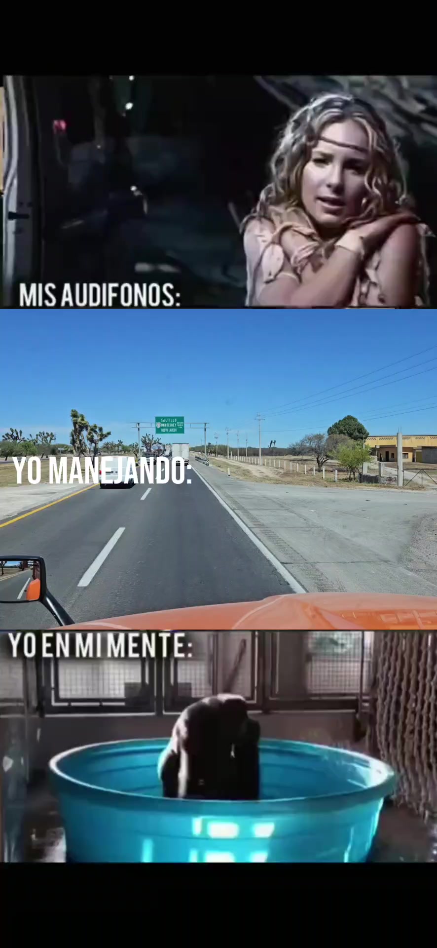 @Papucho585