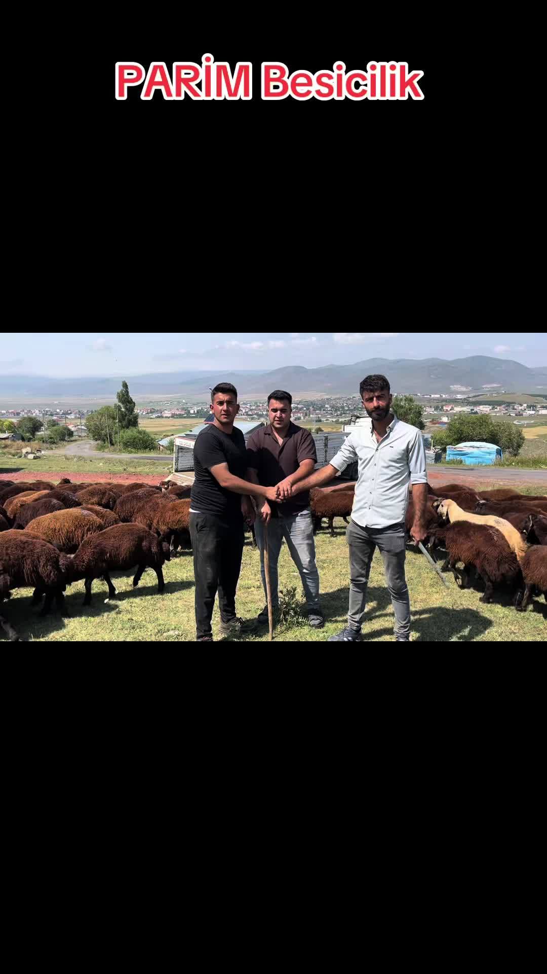 @Imdat Parim
