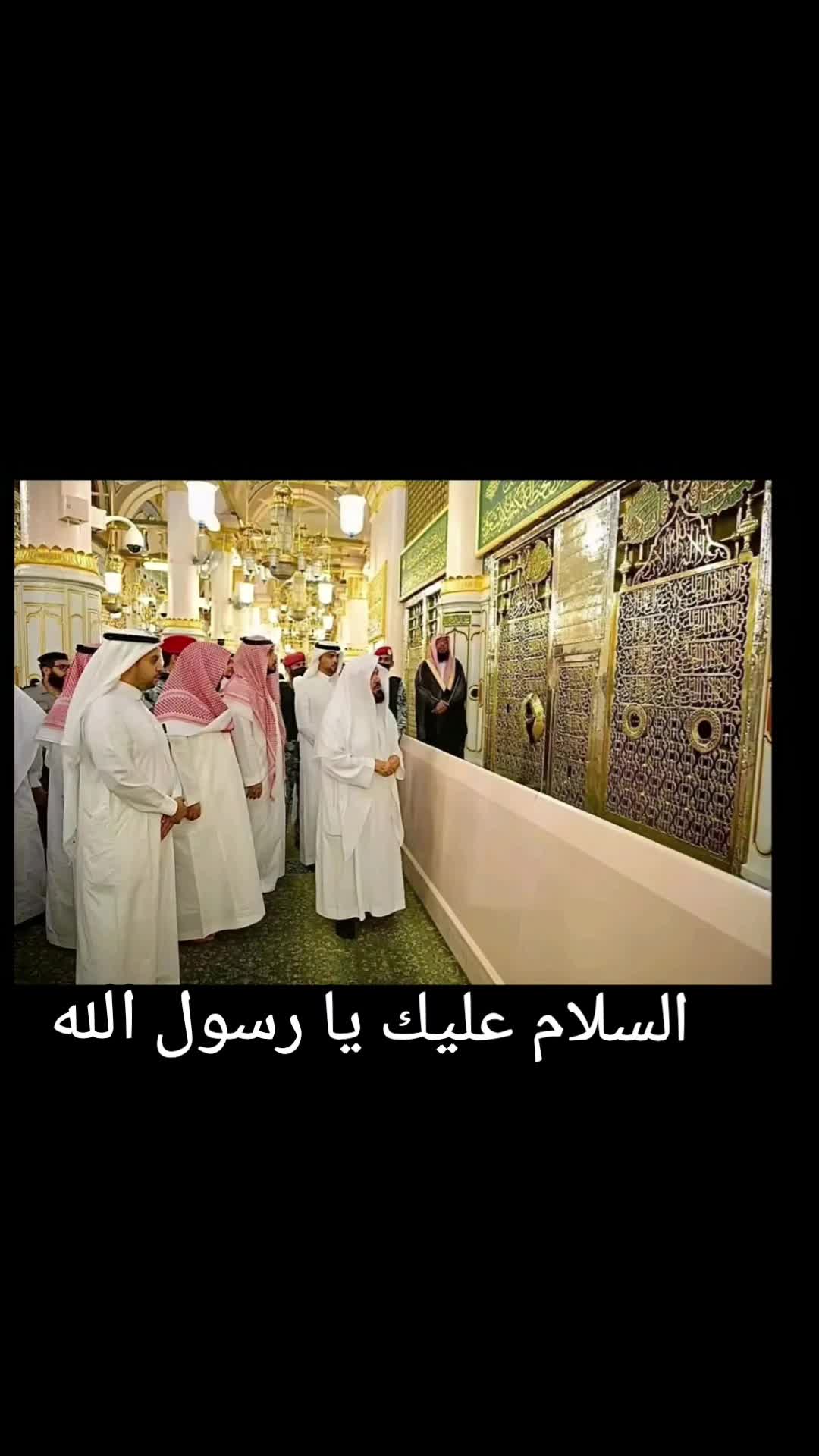 @forevergreen01