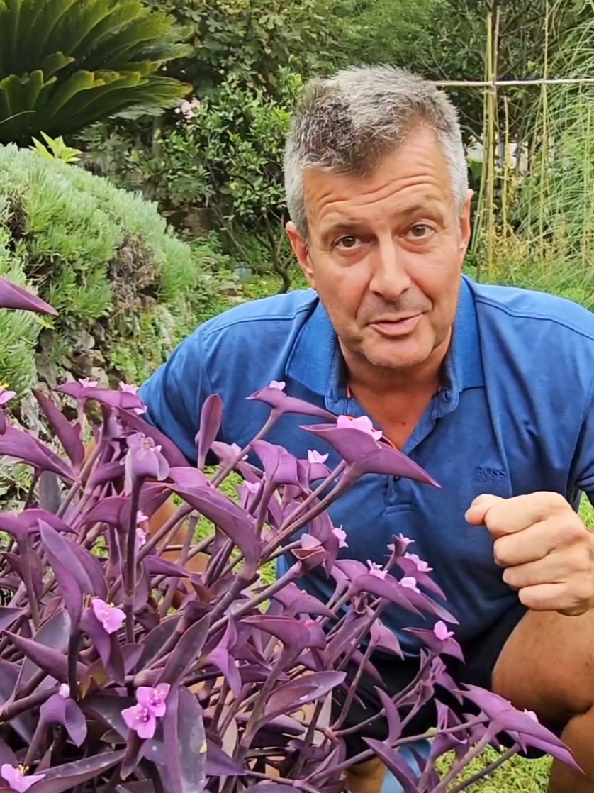 @Dejan Dragićević