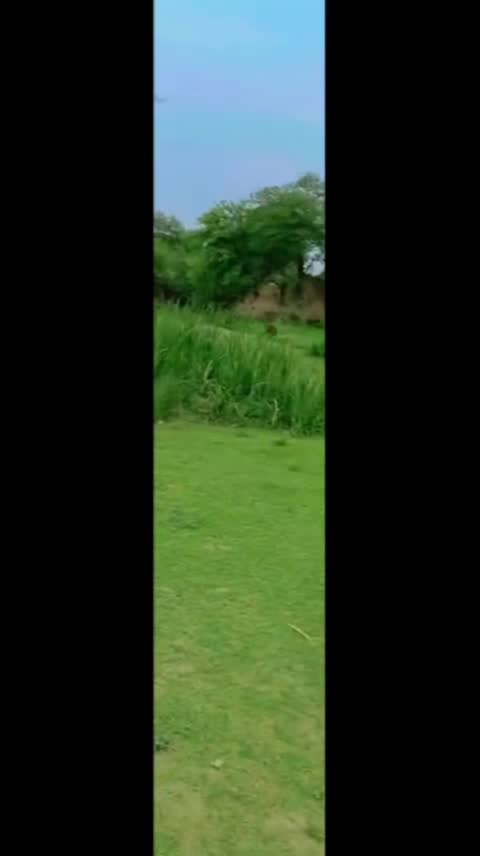@مالنگ دادا💯