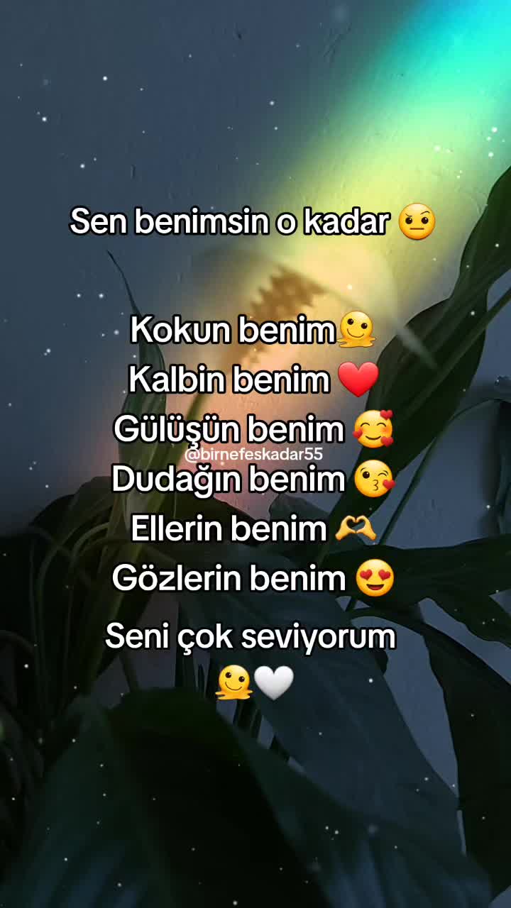 @birnefeskadar55
