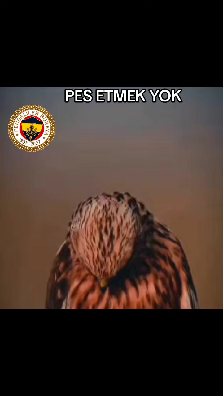 @🌟 🄵🄴🄽🄴🅁🄱🄰🄷🄲🄴 🌟