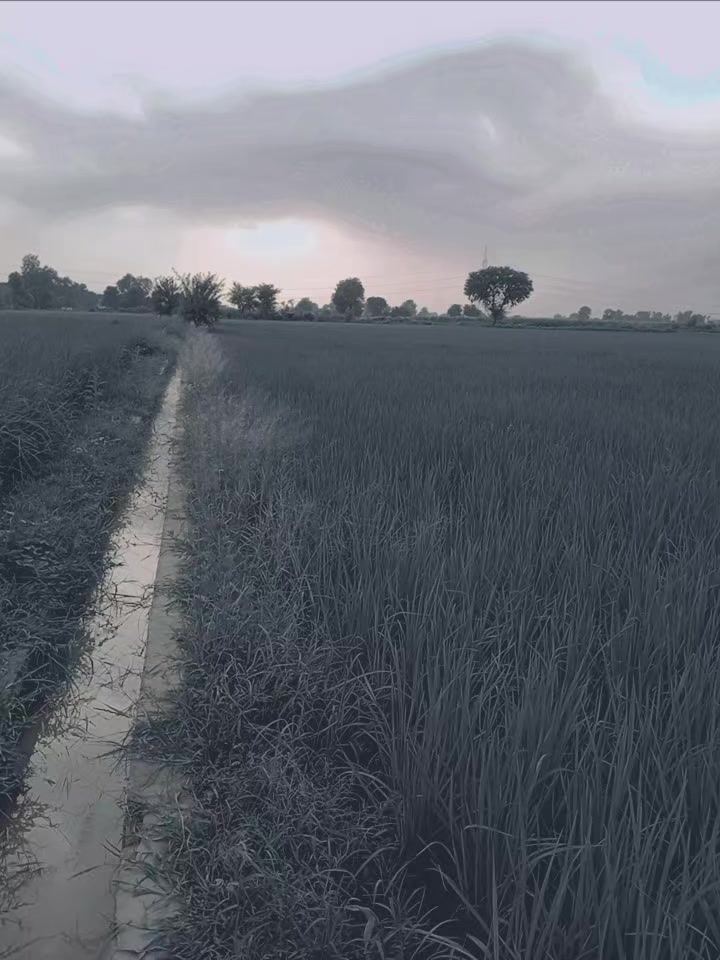 @user99318166061