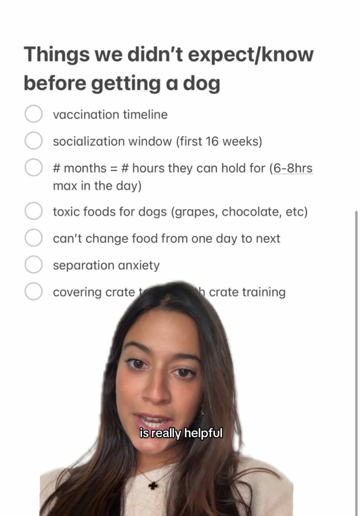 @Lilo The Cockapoo