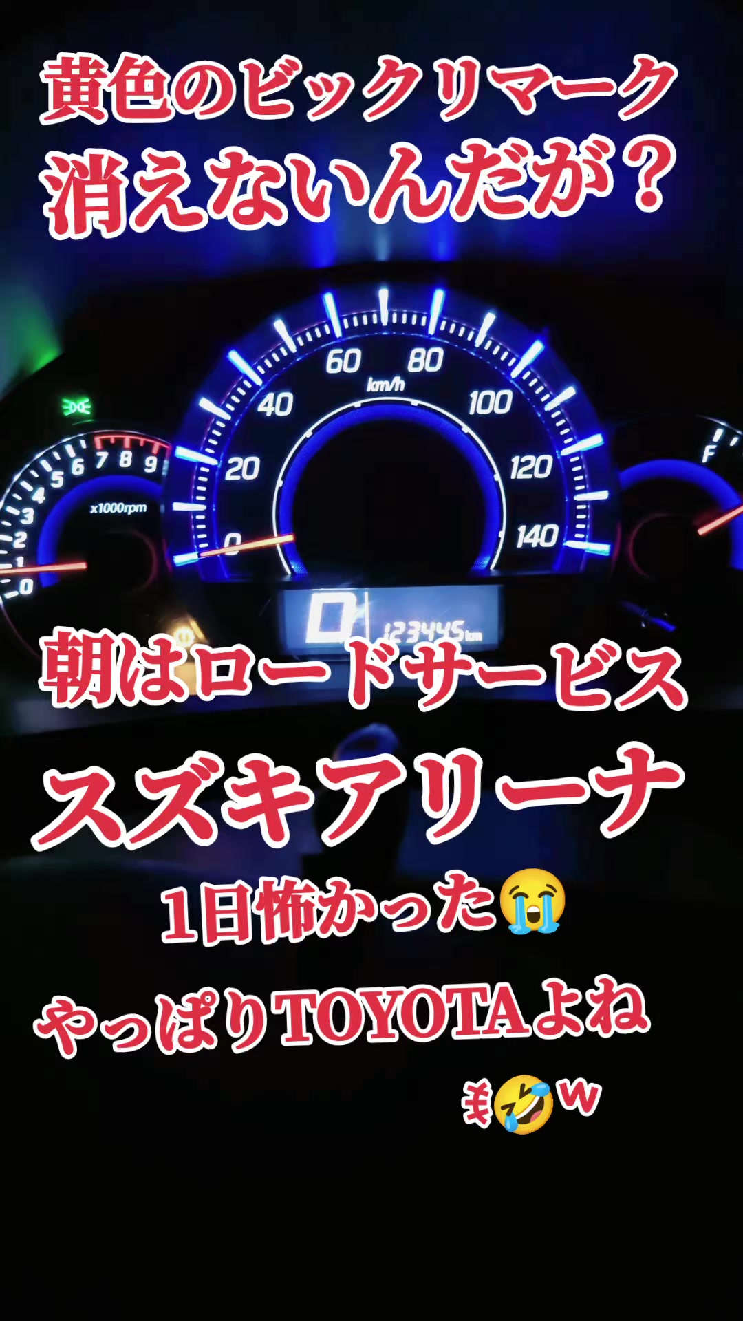 @&reg;️万年蘭🎼︎🤍