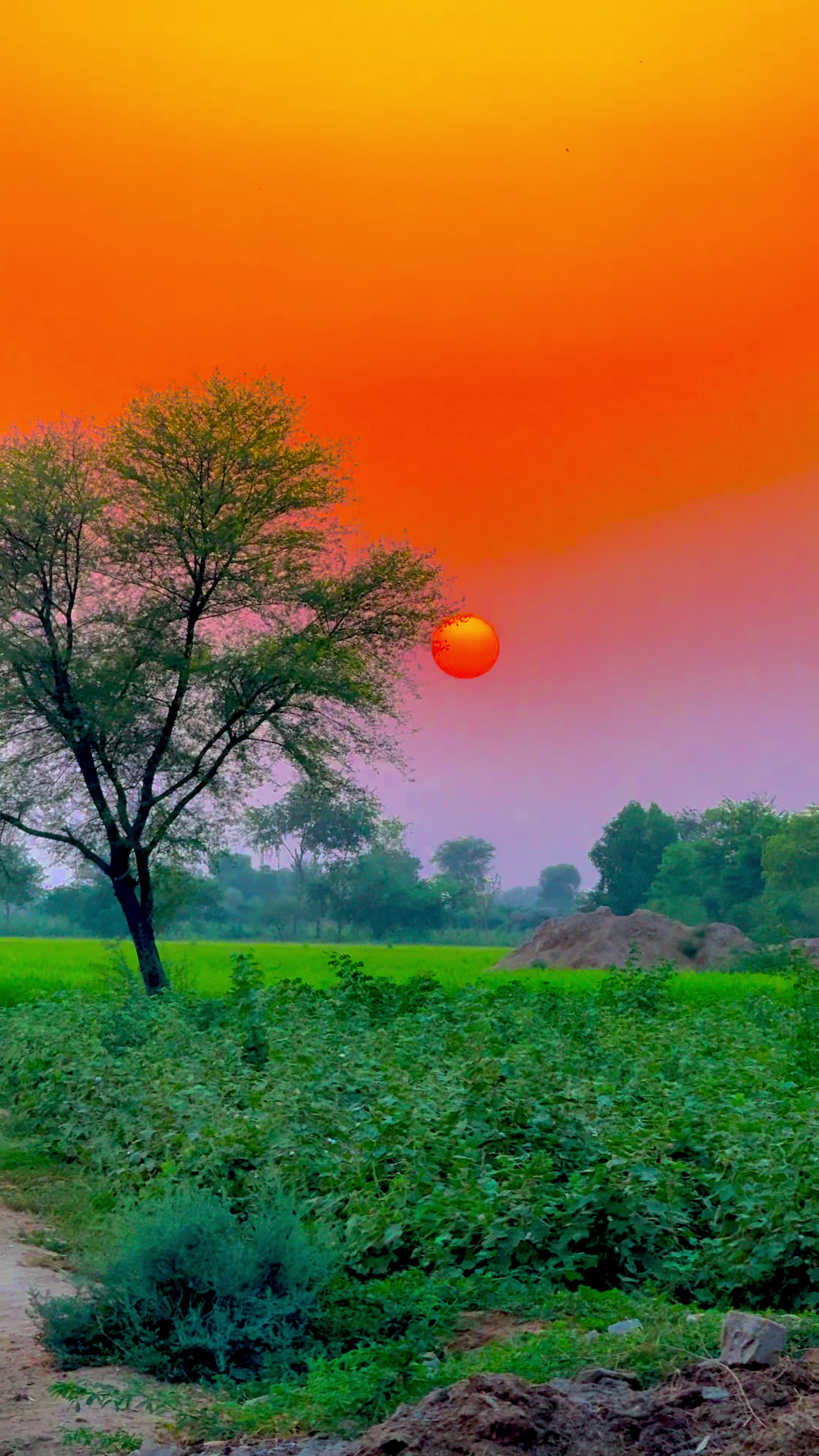 @🌾میں۔ میرا۔ پنڈ🎋