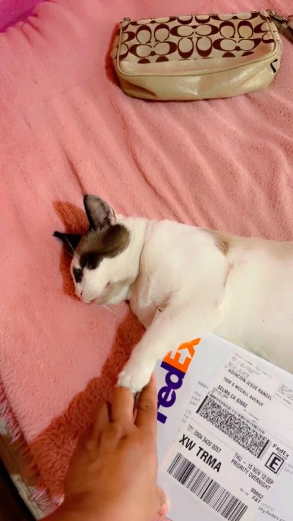 @Mi bella Prinsesa👑💕que adoro