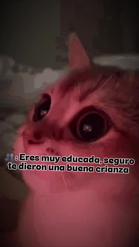 @Flaca