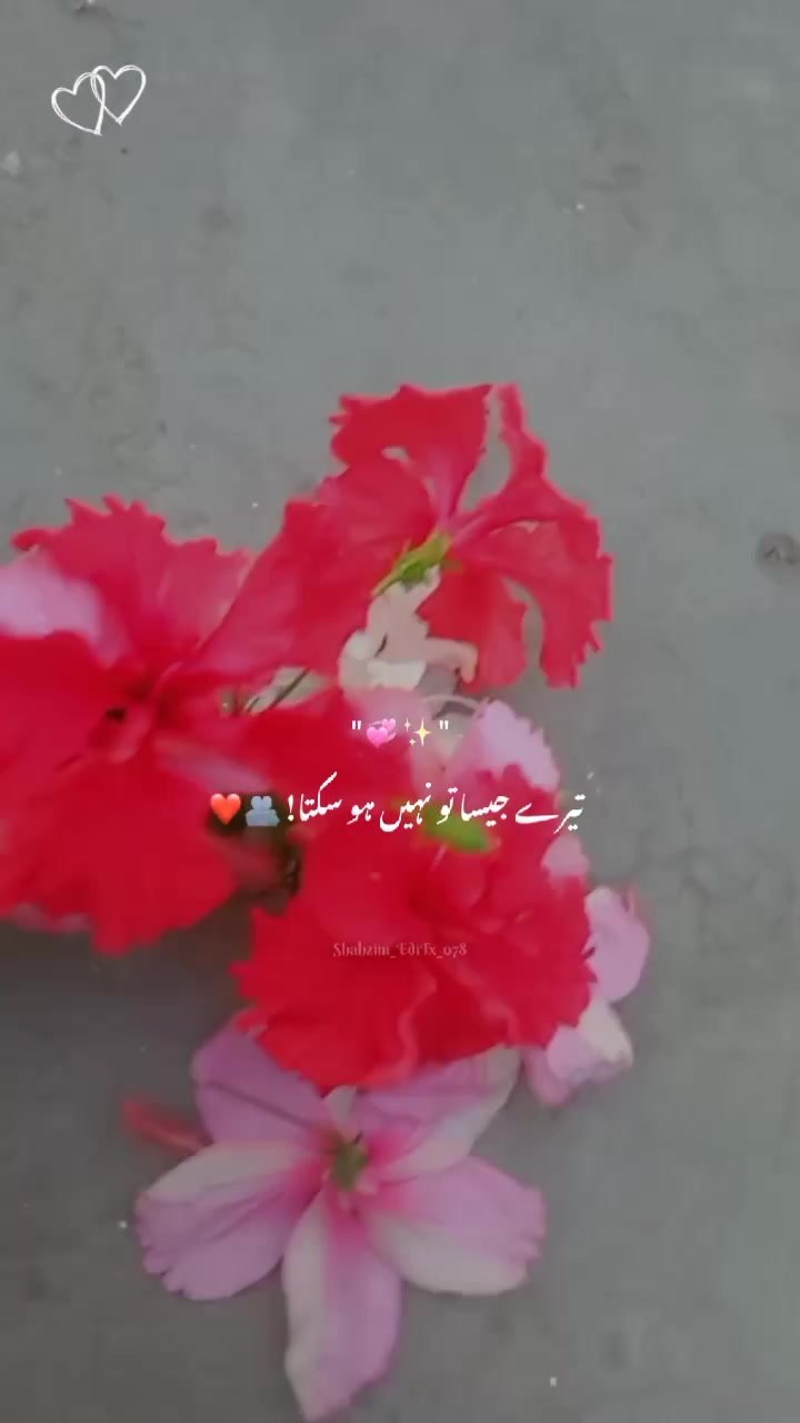 @Hʏᴘᴇʀ 𝙌𝙪𝙚𝙚𝙣★❤️&zwj;🔥👑