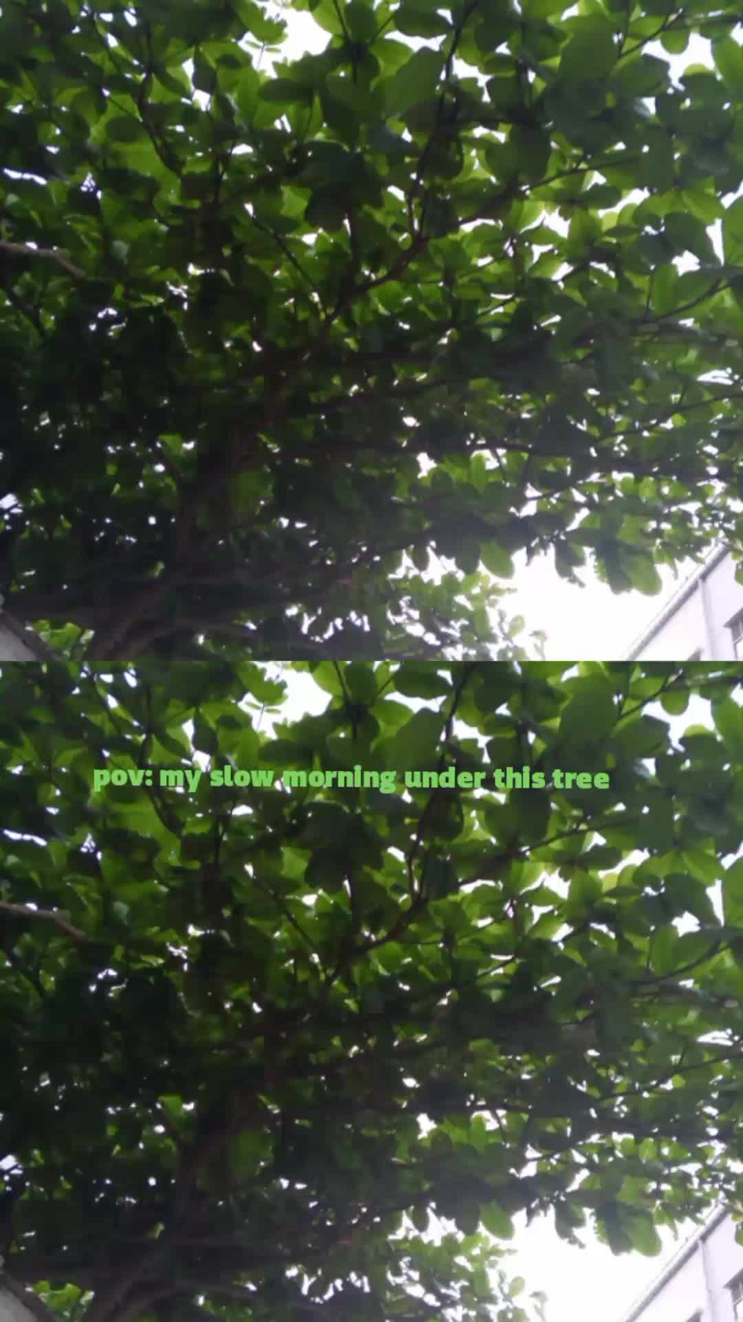 @Gavgeoph